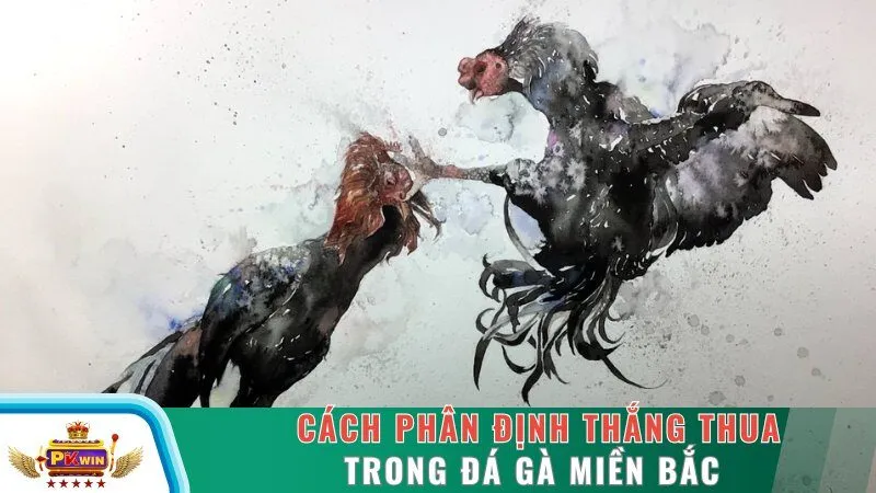 Cách phân định thắng thua trong đá gà miền Bắc